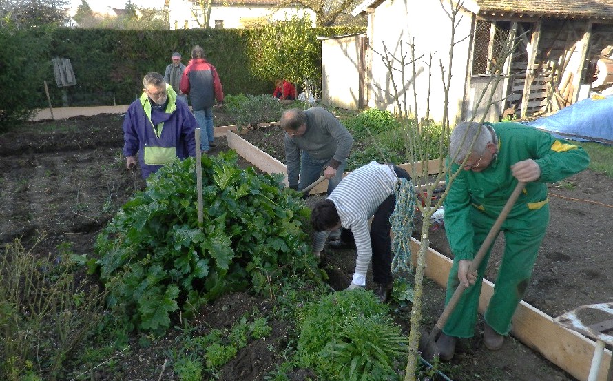 Mise en place des nouvelles bordures en pin douglas